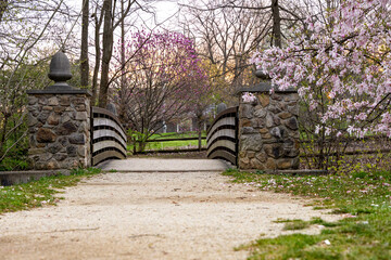 Spring time park walking path with bride and flowering trees