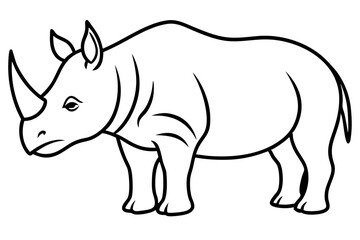 Abstract Rhino Sketch