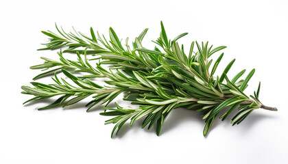 Fototapeta premium Fresh rosemary branches artfully arranged against a clean white backdrop, highlighting their lush green color and natural texture. Perfect for culinary, botanical, or wellness-related projects
