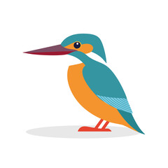 Obraz premium Kingfisher Vector Illustration, Cute bird Character for decor.
