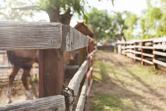 Sun flare over fence at Murrurundi showgrounds in afternoon light