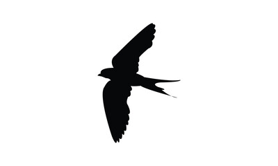 Flying African red rumped swallow bird Silhouette Design  And Vector Illustration. 