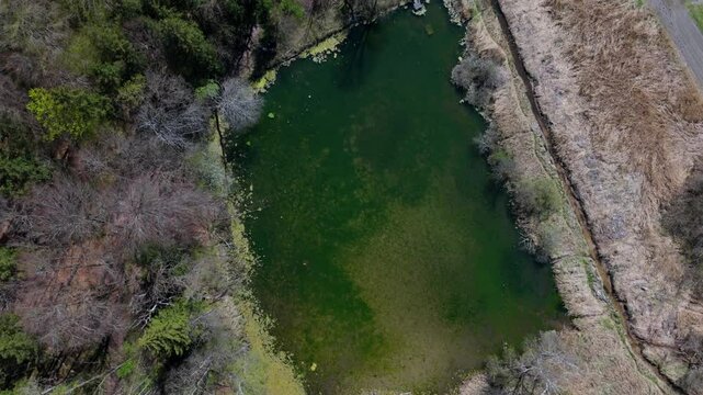 Drone shot of Spiegelweiher, fish pond chain in Grafing bei Muenchen, Bavaria, Germany. This hidden gem near Munich features quiet hiking trails, reflective waters and vibrant spring greenery. 
