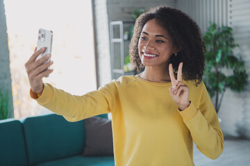 Attractive young woman indoors smiling and taking a selfie in a cozy living room with natural light.