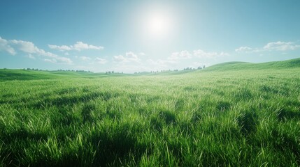 Fototapeta premium Lush green field stretches towards distant hills under a bright sky