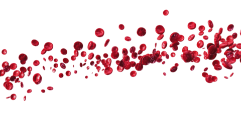 Erythrocytes Blood Cell Stream  isolated on a transparent background