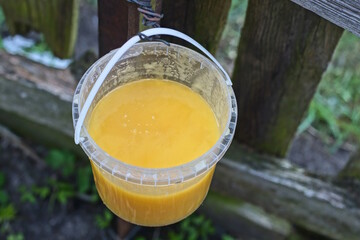 one white plastic bucket with yellow honey hangs on a gray wooden fence on a rural street