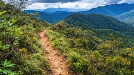 Serene Mountain Trail: A Journey Through Lush Green Landscapes