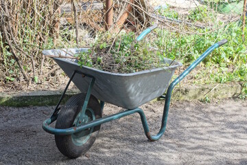 one large grey metal garden wheelbarrow full of trash and branches stands on the asphalt on a spring street