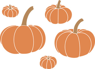 pumpkins on a white background