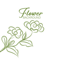Elegant Green Line Art Flower Background for Design Projects