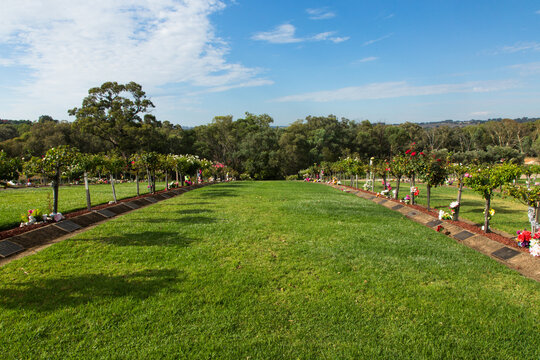 lawn and flowers at a lawn cemetery
