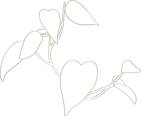 vector illustration of vine leaves