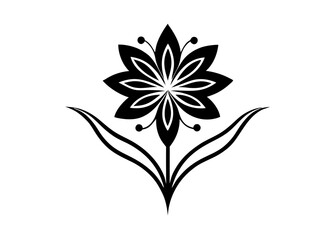 black and white flowers on white