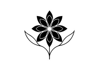 butterfly on a white background