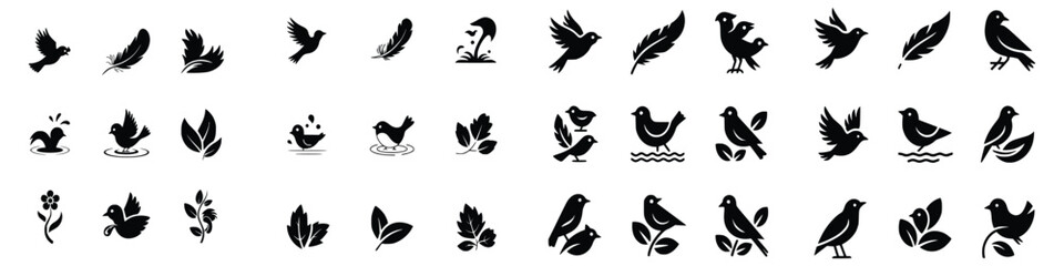 Collection of bird vector silhouettes with feathers and leaves elements