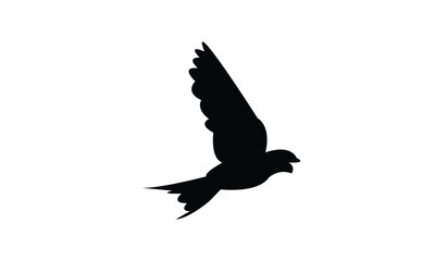 Flying African red rumped swallow bird Silhouette Design  And Vector Illustration. 