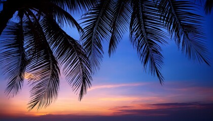 Fototapeta premium palm leaves silhouetted against twilight sky