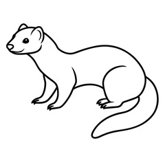 Elegant Ferret Line Drawing Vector