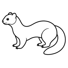 Elegant Ferret Line Drawing Vector
