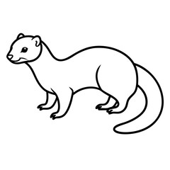 Elegant Ferret Line Drawing Vector