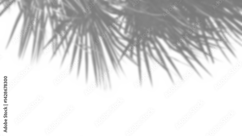 Leinwandbilder Realistic shadow overlay of blurred plant branch with detailed foliage and leaf patterns, perfect for spring or summer product display mockup design elements
