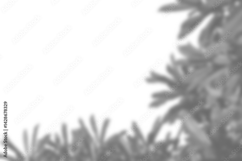 Leinwandbilder Realistic branch with blurred leaf shadows creates soft overlay effect, perfect for spring or summer product mockups. plant foliage design elements add natural touch for display purposes