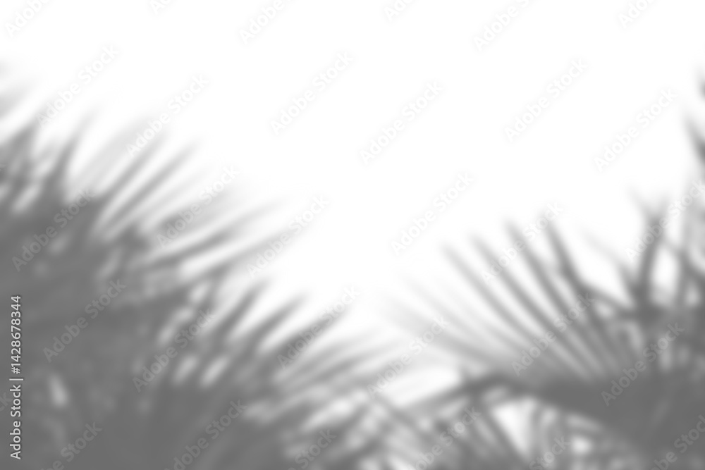 Poster realistic shadow overlay of blurred plant foliage and branch leaves creates natural mockup for sprin
