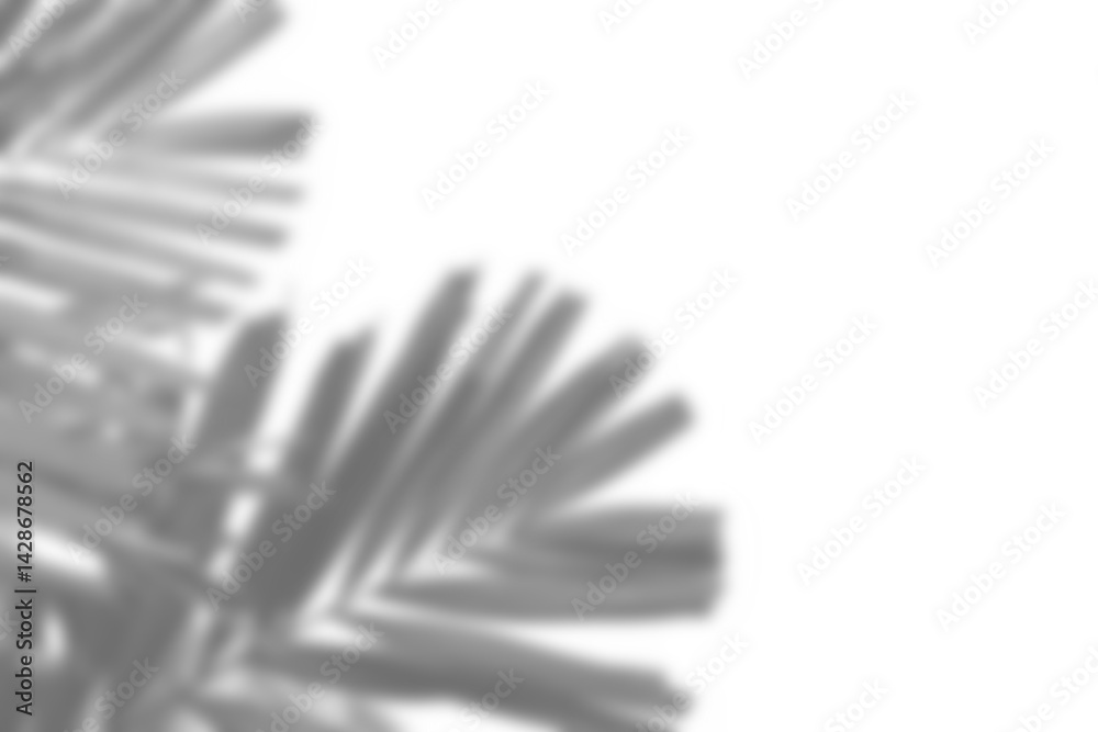 Aufkleber Realistic blurred shadow overlay of plant branch with detailed foliage and leaves, perfect for spring or summer product display mockups and design elements