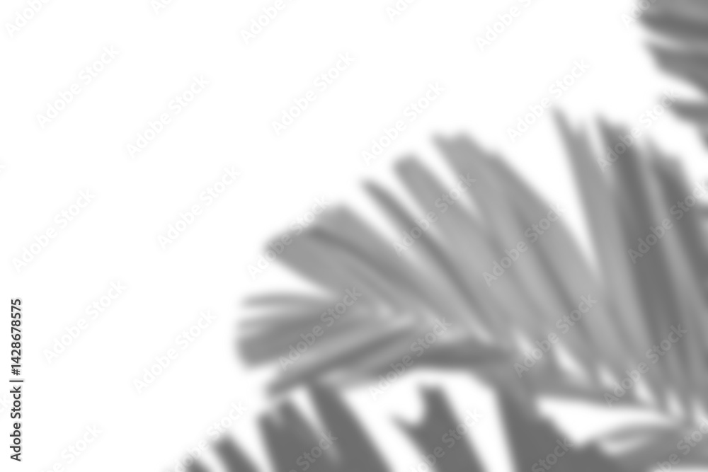Leinwandbilder Realistic blurred shadow overlay of plant branch with detailed foliage and leaf patterns, perfect for spring or summer product display mockup design elements