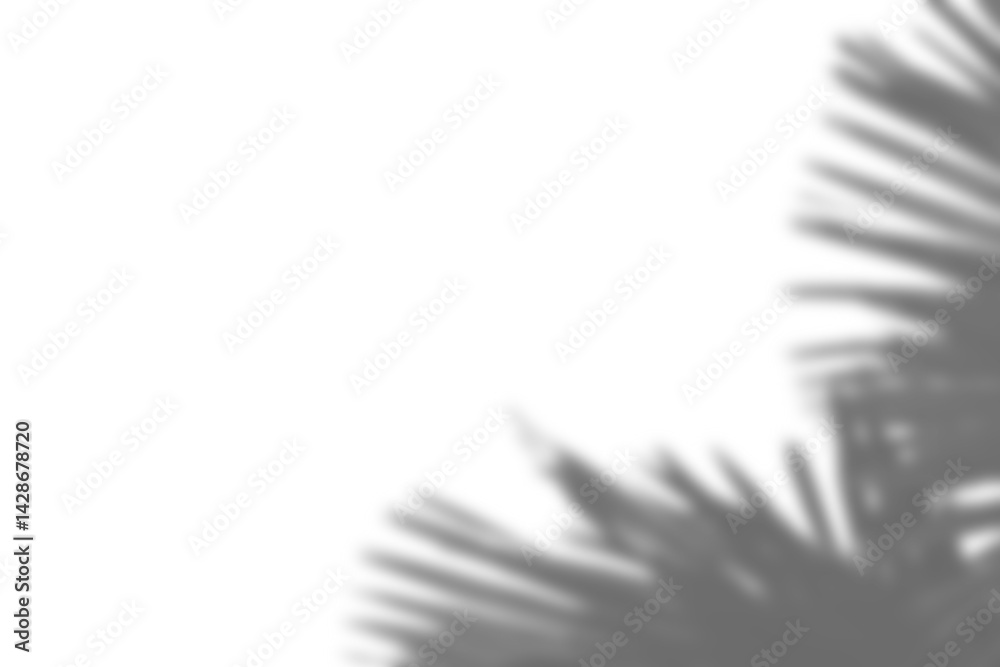 Poster realistic branch and leaf shadow overlay with blurred foliage, perfect for spring or summer product 
