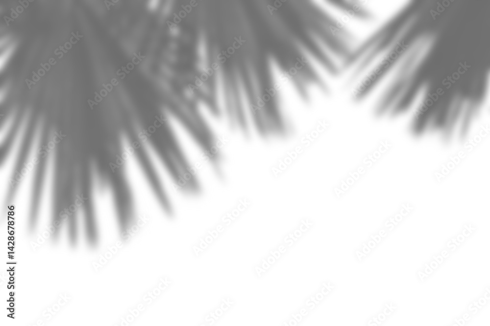 Poster realistic shadow overlay of blurred plant foliage and branches, perfect for spring or summer product