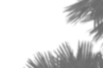 Realistic shadow overlay of blurred plant foliage and branches creates natural and elegant effect, perfect for spring or summer product display mockups and design elements