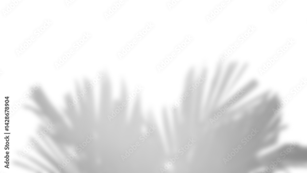 Poster Realistic blurred shadow overlay of plant branch with soft foliage and leaves, perfect for spring or summer product display mockups and design elements