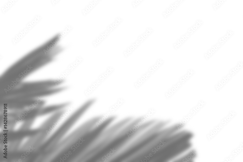Leinwandbilder realistic overlay of blurred plant foliage with soft shadows creates natural and elegant design elem