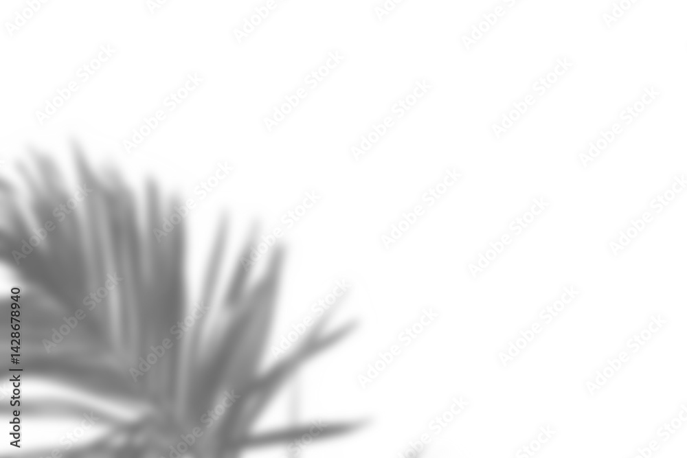 Poster realistic black and white overlay of blurred plant branch with detailed foliage and leaf shadows, pe