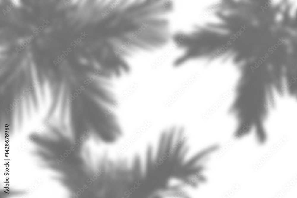 Aufkleber Realistic branch and leaf shadow overlay with blurred foliage creates natural mockup for spring and summer product display or design elements. Perfect for enhancing creative projects