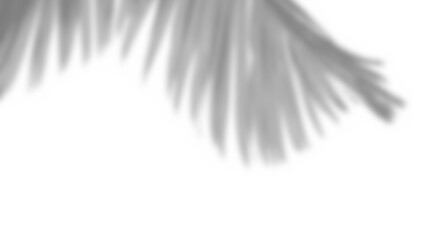 Naklejka premium Realistic overlay of blurred shadow resembling flowing fabric or leaf edge, perfect for spring or summer product display mockups, adding natural design elements