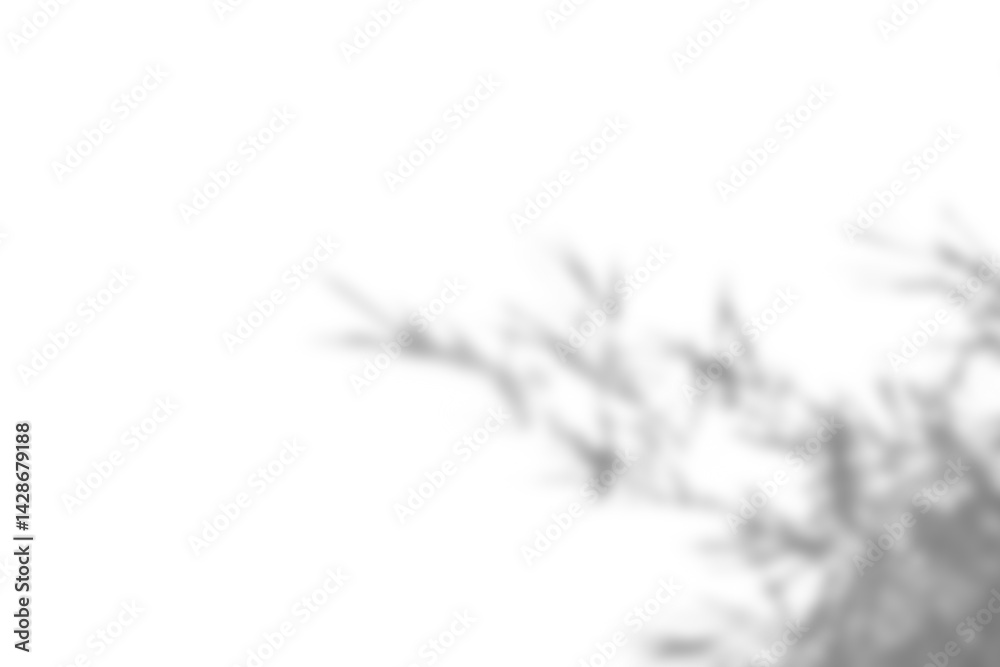 Poster Realistic blurred branch with soft leaf shadows creates natural overlay effect, perfect for spring or summer product display mockups. plant foliage adds design elements for creative projects