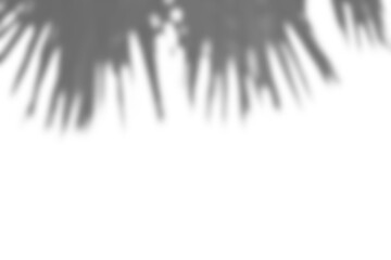 Realistic shadow overlay of blurred plant foliage branches and leaves creates natural and elegant mockup for spring or summer product display design elements