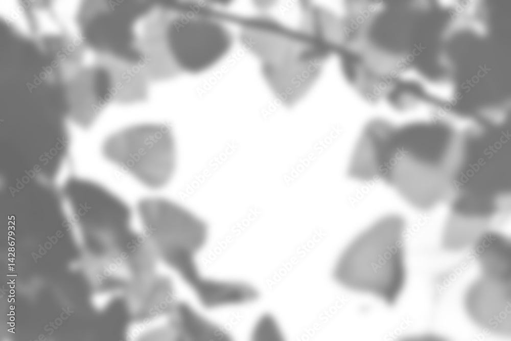 Poster realistic blurred branch with leaf shadow overlay creates natural mockup for spring and summer produ