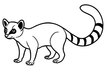 Minimal Ringtail