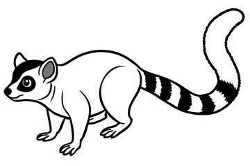 Minimal Ringtail