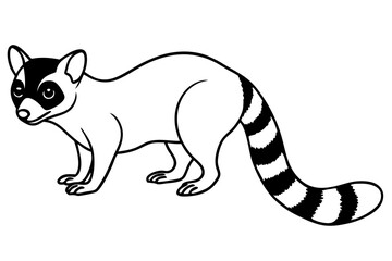 Minimal Ringtail