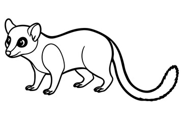 Minimal Ringtail