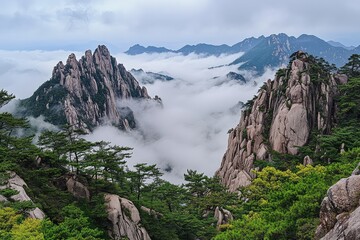 Fototapeta premium Majestic granite peaks rise above a sea of clouds, nestled amidst lush green pines