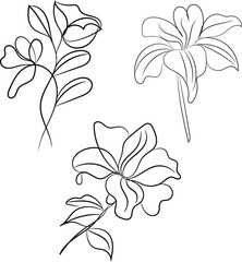 Elegant Line Art Floral Designs Botanical Illustrations Set