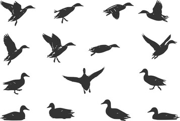 Fototapeta premium collection of mallard duck silhouettes for designers 