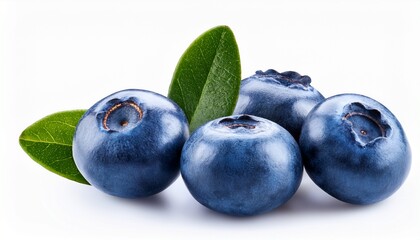 Obraz premium blueberries isolated on a white background