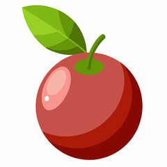 red apple vector illustration